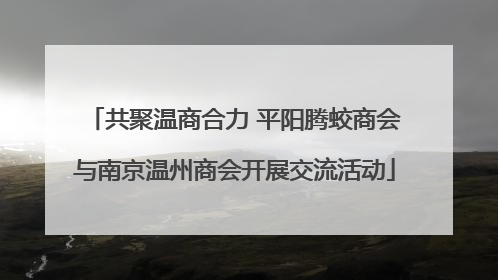 共聚温商合力 平阳腾蛟商会与南京温州商会开展交流活动