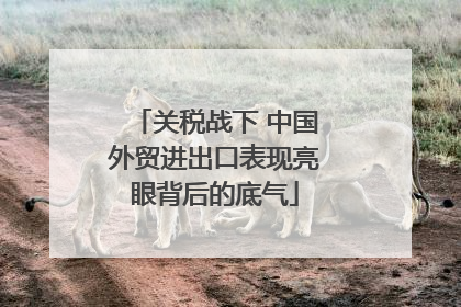 关税战下 中国外贸进出口表现亮眼背后的底气