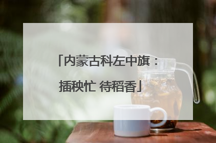 内蒙古科左中旗：插秧忙 待稻香