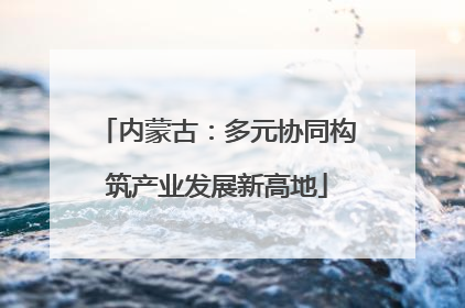 内蒙古：多元协同构筑产业发展新高地