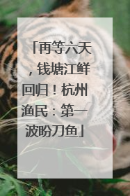 再等六天，钱塘江鲜回归！杭州渔民：第一波盼刀鱼