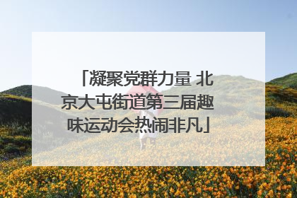 凝聚党群力量 北京大屯街道第三届趣味运动会热闹非凡