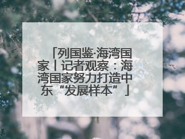列国鉴·海湾国家丨记者观察：海湾国家努力打造中东“发展样本”