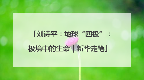 刘诗平：地球“四极”：极境中的生命｜新华走笔