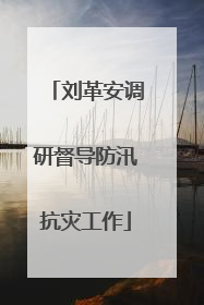 刘革安调研督导防汛抗灾工作