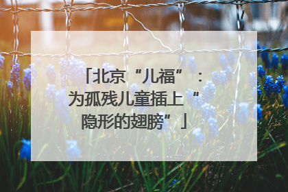 北京“儿福”：为孤残儿童插上“隐形的翅膀”