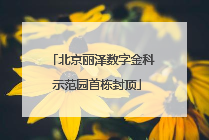 北京丽泽数字金科示范园首栋封顶