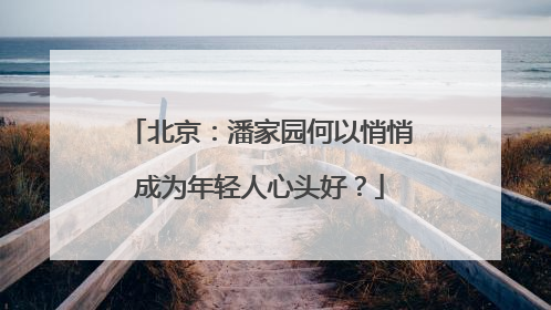 北京：潘家园何以悄悄成为年轻人心头好？