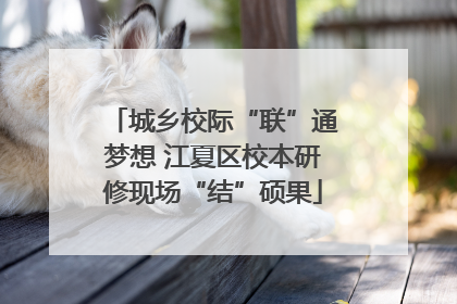 城乡校际“联”通梦想 江夏区校本研修现场“结”硕果