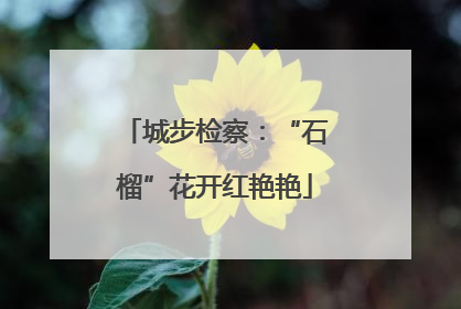 城步检察：“石榴”花开红艳艳