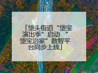 垡头街道“垡宝演出季”启动 “垡宝治家”数智平台同步上线