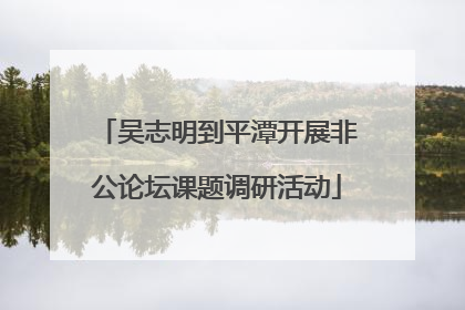 吴志明到平潭开展非公论坛课题调研活动