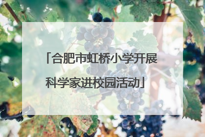 合肥市虹桥小学开展科学家进校园活动