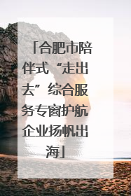 合肥市陪伴式“走出去”综合服务专窗护航企业扬帆出海