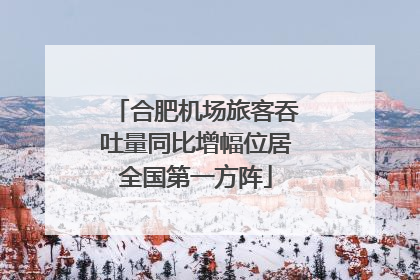 合肥机场旅客吞吐量同比增幅位居全国第一方阵