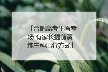合肥高考生看考场 有家长提前演练三种出行方式
