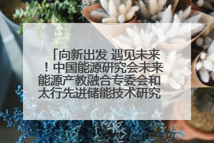 向新出发 遇见未来！中国能源研究会未来能源产教融合专委会和太行先进储能技术研究院在保定成立