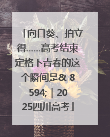 向日葵、拍立得……高考结束定格下青春的这个瞬间是& 8594;｜2025四川高考