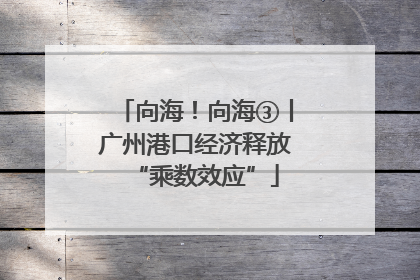 向海！向海③丨广州港口经济释放“乘数效应”