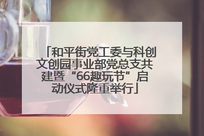和平街党工委与科创文创园事业部党总支共建暨“66趣玩节”启动仪式隆重举行