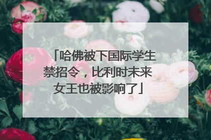 哈佛被下国际学生禁招令，比利时未来女王也被影响了
