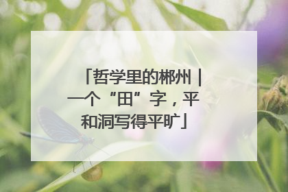 哲学里的郴州｜一个“田”字，平和洞写得平旷