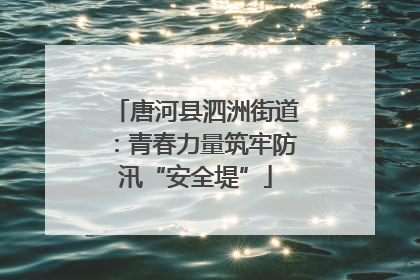唐河县泗洲街道：青春力量筑牢防汛“安全堤”