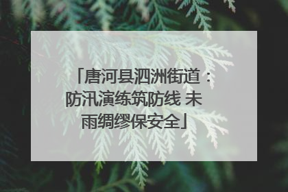 唐河县泗洲街道：防汛演练筑防线 未雨绸缪保安全