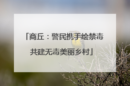 商丘：警民携手绘禁毒 共建无毒美丽乡村