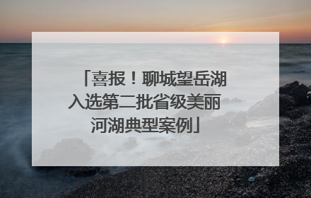 喜报！聊城望岳湖入选第二批省级美丽河湖典型案例