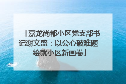 嘉龙尚都小区党支部书记谢文盛：以公心破难题 绘就小区新画卷