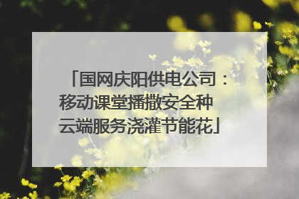 国网庆阳供电公司：移动课堂播撒安全种 云端服务浇灌节能花