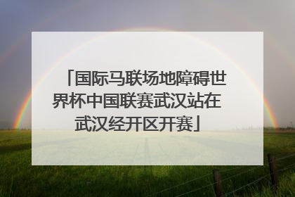 国际马联场地障碍世界杯中国联赛武汉站在武汉经开区开赛