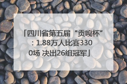 四川省第五届“贡嘎杯”：1.88万人比赛3300场 决出26组冠军