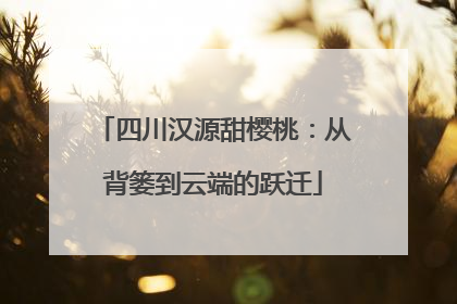 四川汉源甜樱桃：从背篓到云端的跃迁