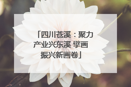 四川苍溪：聚力产业兴东溪 擘画振兴新画卷