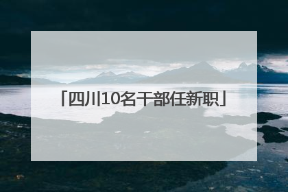 四川10名干部任新职