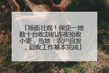 场面壮观！保定一地数十台收割机连夜抢收小麦，当地：农户自发，夏收工作基本完成