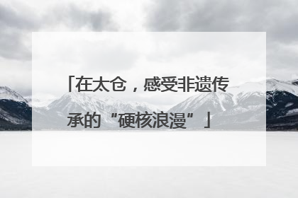 在太仓，感受非遗传承的“硬核浪漫”