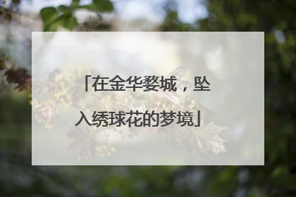 在金华婺城，坠入绣球花的梦境