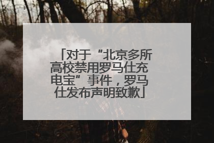 对于“北京多所高校禁用罗马仕充电宝”事件，罗马仕发布声明致歉