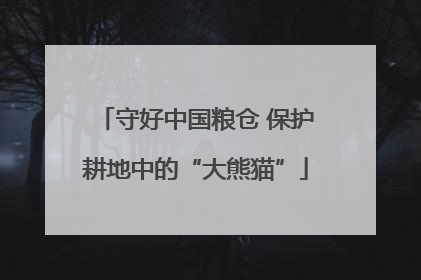 守好中国粮仓 保护耕地中的“大熊猫”