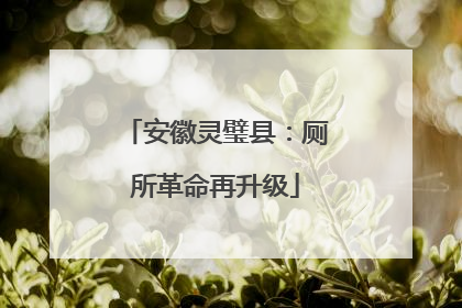 安徽灵璧县：厕所革命再升级