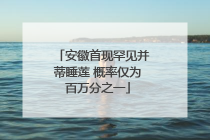 安徽首现罕见并蒂睡莲 概率仅为百万分之一