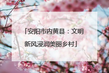 安阳市内黄县：文明新风浸润美丽乡村