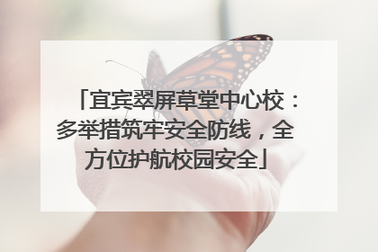 宜宾翠屏草堂中心校：多举措筑牢安全防线，全方位护航校园安全