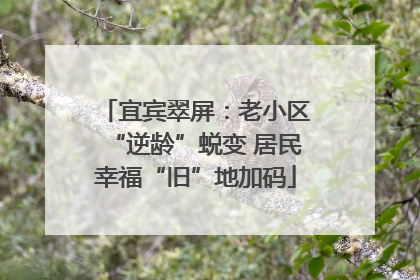 宜宾翠屏：老小区“逆龄”蜕变 居民幸福“旧”地加码