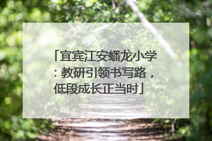 宜宾江安蟠龙小学：教研引领书写路，低段成长正当时