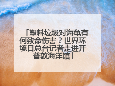 塑料垃圾对海龟有何致命伤害？世界环境日总台记者走进开普敦海洋馆
