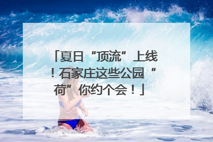 夏日“顶流”上线！石家庄这些公园“荷”你约个会！